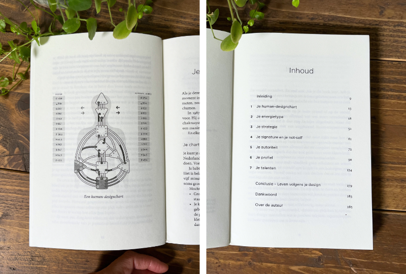 Human design - inhoud boek