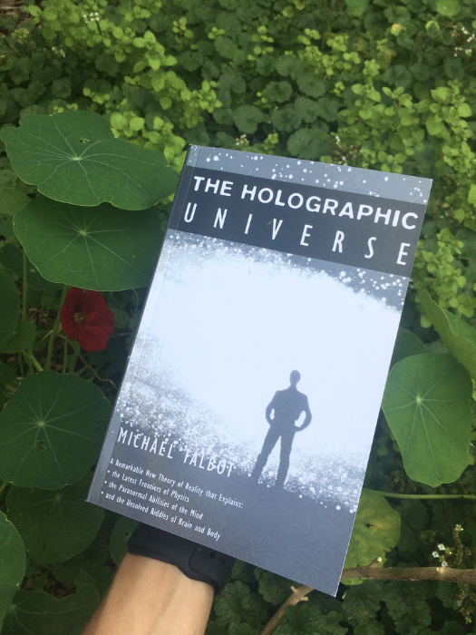 The Holographic Universe boek